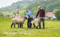 Familie mit Schafen auf dem Familienbauernhof Fass