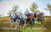 Picknickkutsche-014.JPG