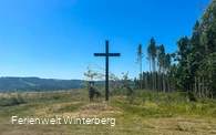 Ein großes Holzkreuz auf einer Wiese vor blauem Himmel und rechts ein angrenzender Wald.