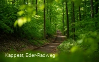 Auf dem Eichhörnchenpfad bzw. auf dem Weg zum Baumkronenweg