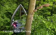 Auf dem Baumkronenweg Edersee
