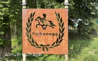 Falkenegg_Logo