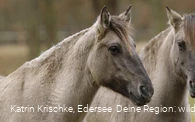 WildtierPark Edersee