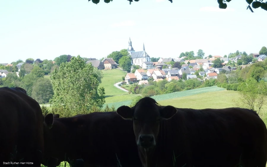 Blick auf die Pfarrkirche Altenrüthens