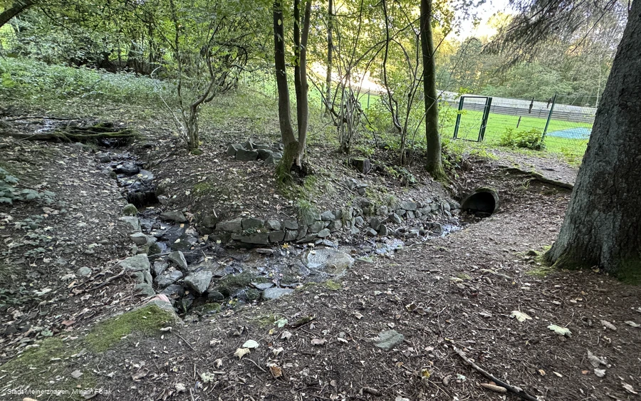 Die junge Agger im Oktober