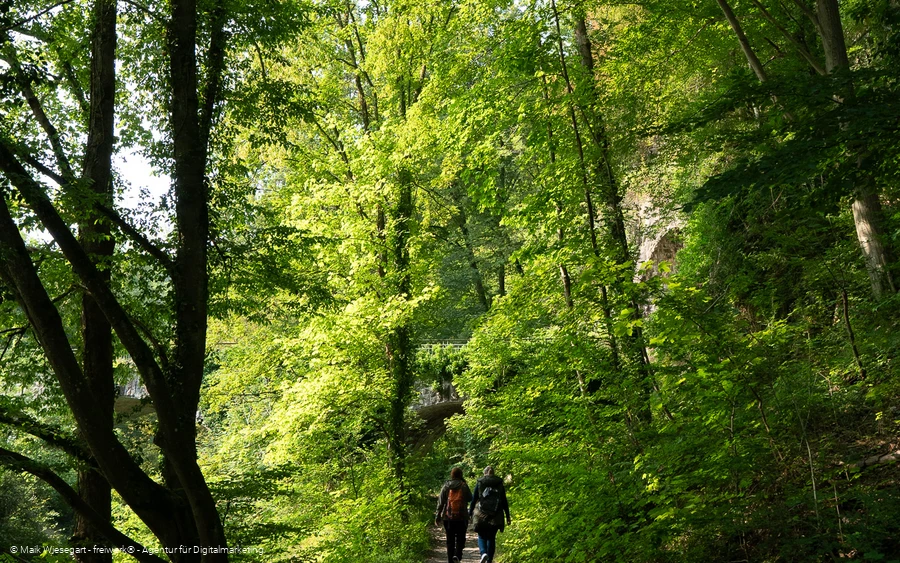 Zuweg Sauerlandroute