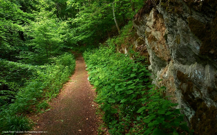 Rothaarsteig im Helletal in Winterberg