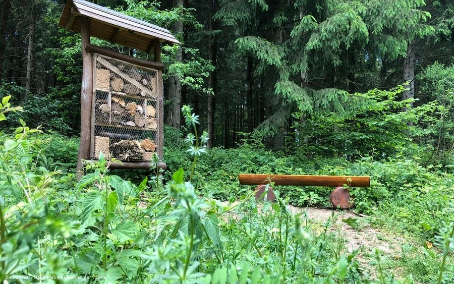 Ein Insektenhotel bietet & Ein Insektenhotel bietet &