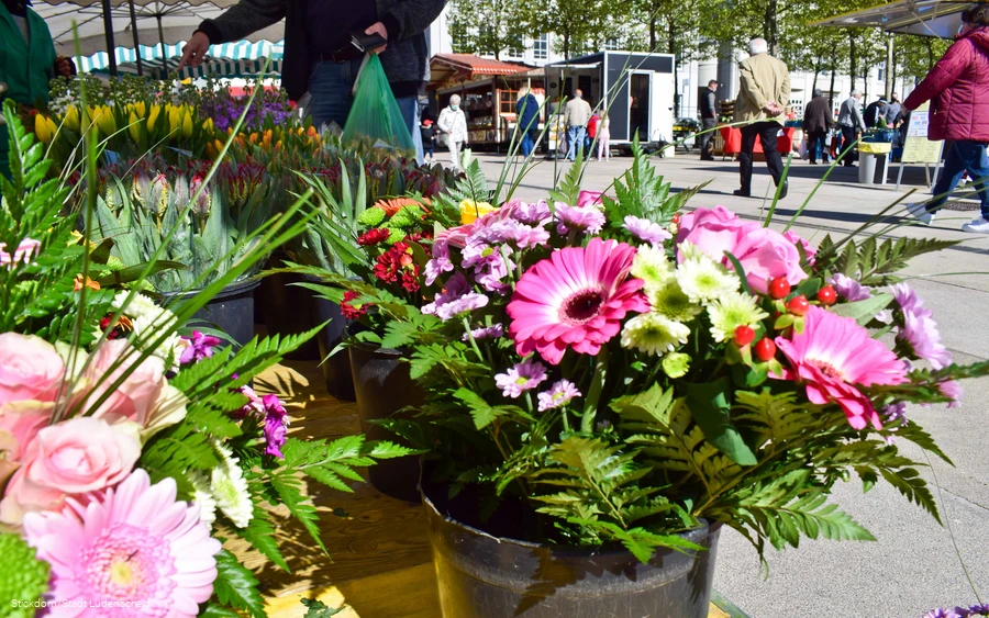 Lüdenscheider Wochenmarkt Blumenstand