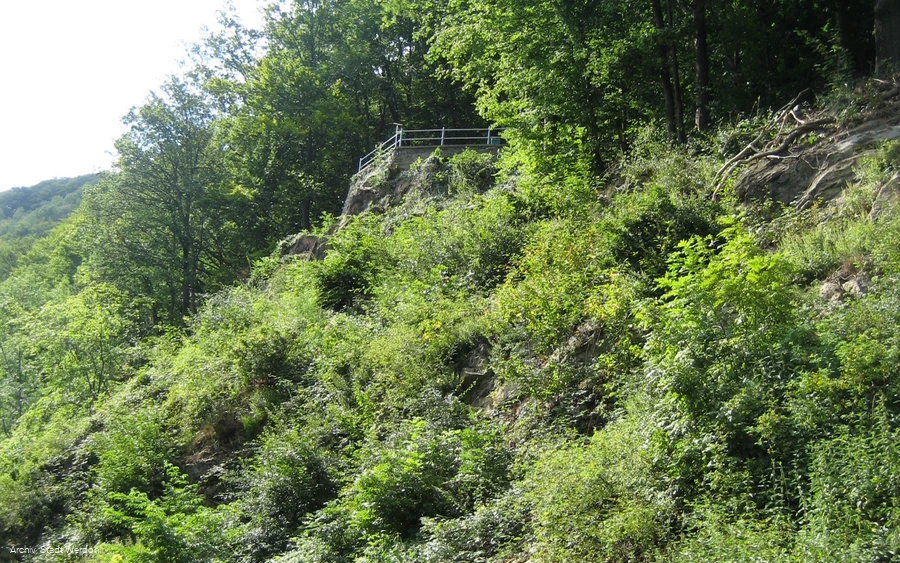Werdohl_Kletterfelsen (11).jpg