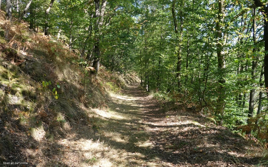 Hinein in das Naturschutzgebiet Notkleff