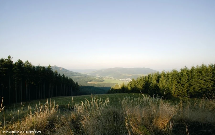 Landschaft Brilon