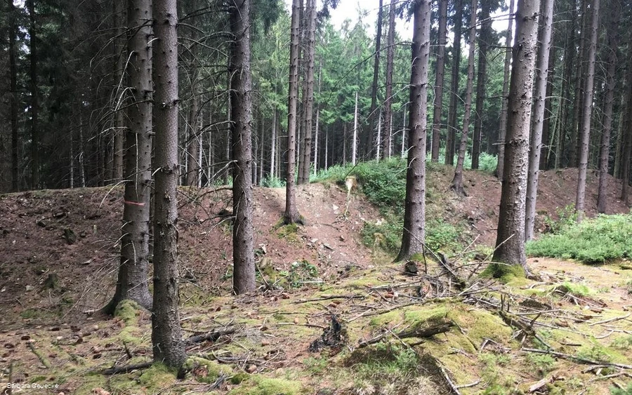 Aufgang zum Ringwall