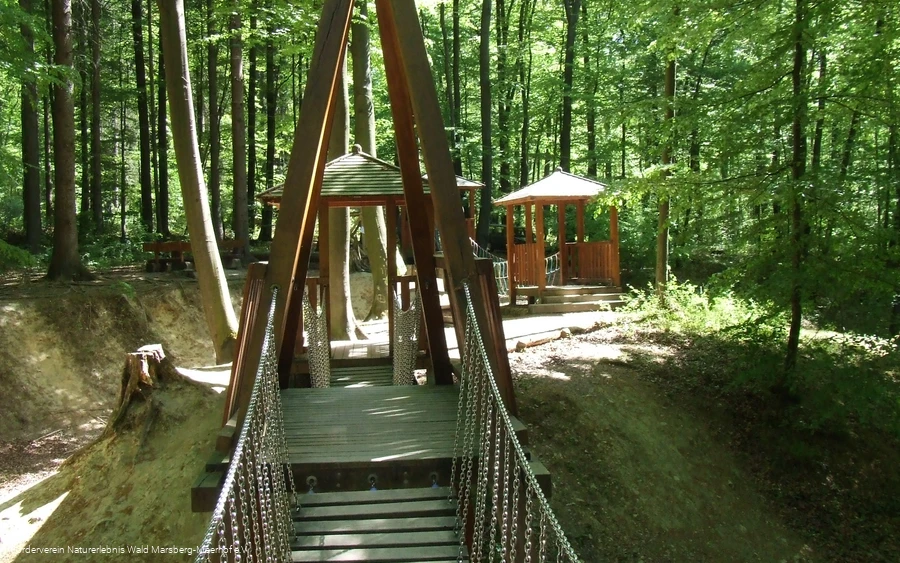 Naturerlebnis Wald Meerhof - Hängebrücke