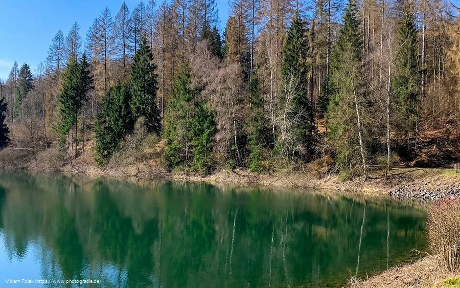 Das Ufer der Genkeltalsperre im Frühjahr
