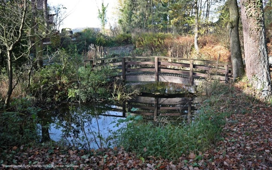 Teich