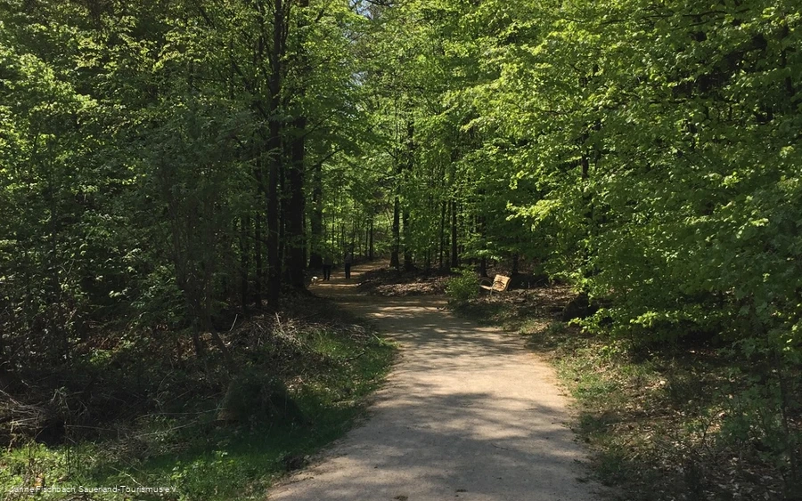 Naturerlebnispfad Hohe Bracht