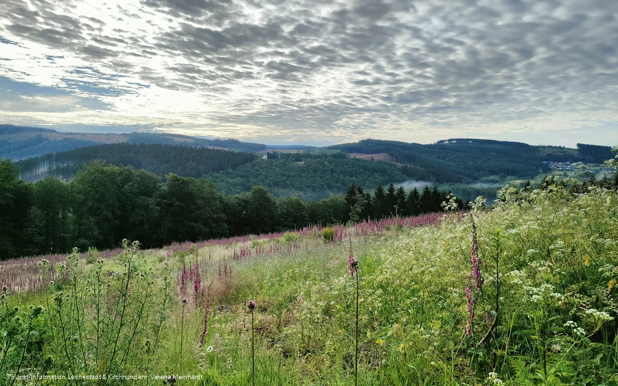 Ausblick von der Kophelle nach Kohlhagen