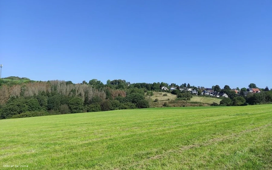 Aussicht von der Bank II