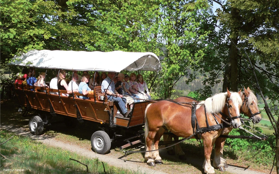 Kutsche seitlich.jpg