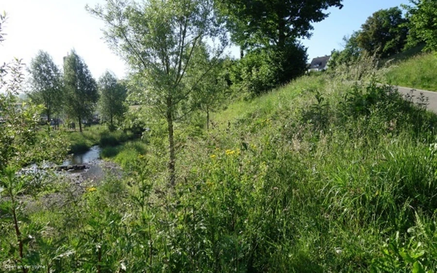 Blick auf die Volme