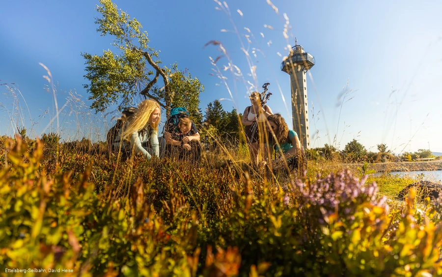 hochheideturm-straeucher-sommer c) ettelsberg-seilbahn-david-heise.jpg