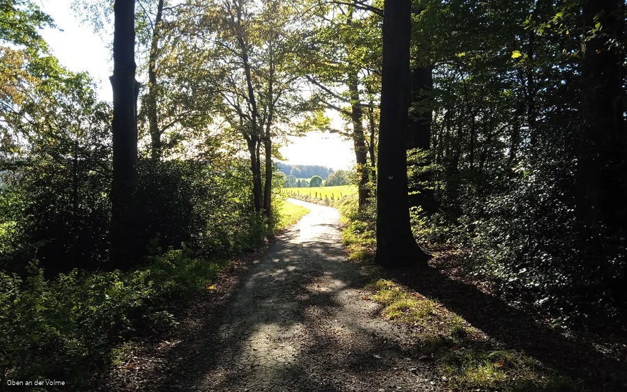 Wanderwegabschnitt VolmeSchatz Sagen auf dem Arney bei Kierspe