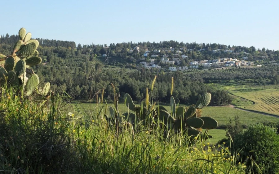 Neve Shalom - Wahat al Salam1.jpg