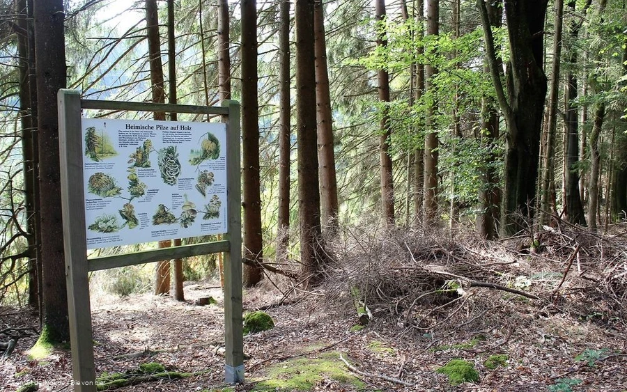 Eine der zahlreichen Infotafeln