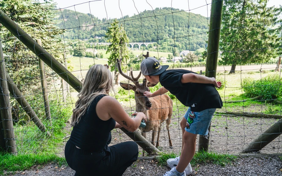 Wildgehege im Wild- und Freizeitpark Willingen