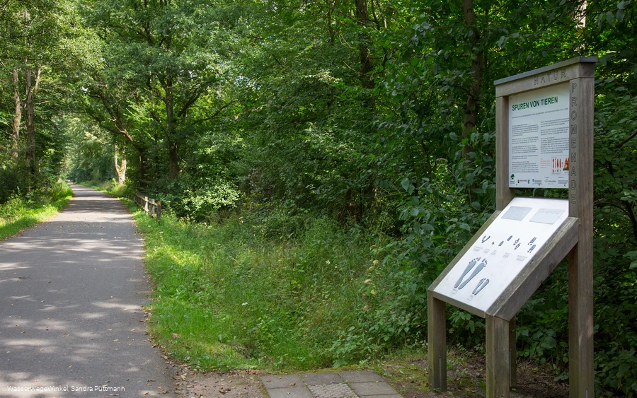Hevehalbinsel Naturpromenade