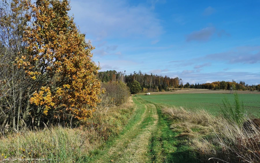 Unterwegs auf dem Waldrouten-Rundweg