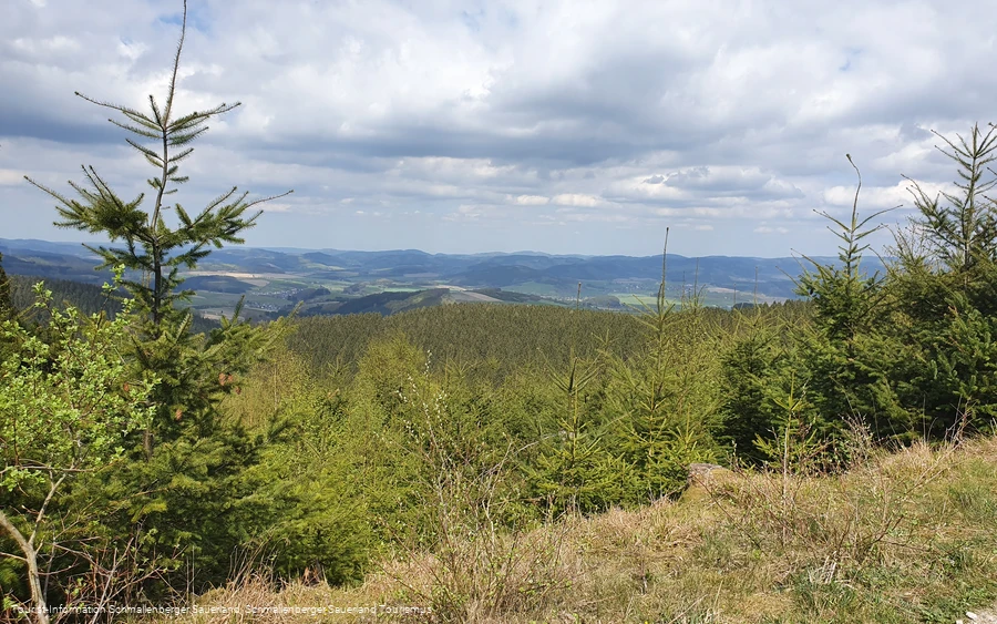 Aussicht ins Hawerland