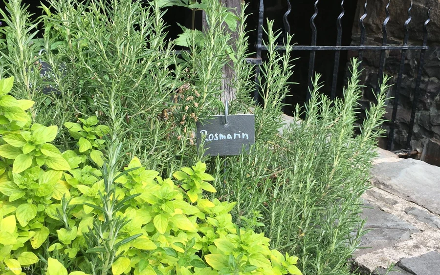 Kräuterbeet