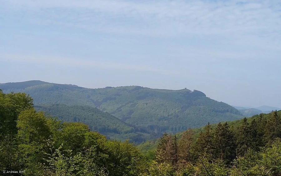 Schusterknapp