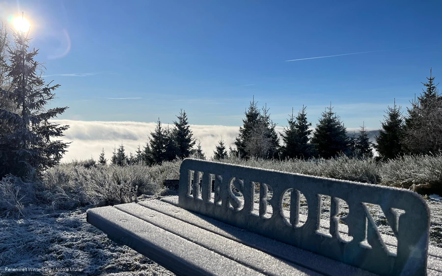Bollbergbergturm_NicoleMüller Bollbergbergturm_NicoleMüller