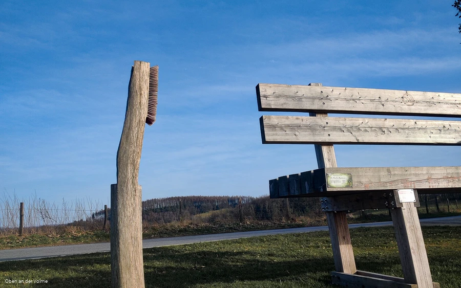 Scheuerpfahl Bürste