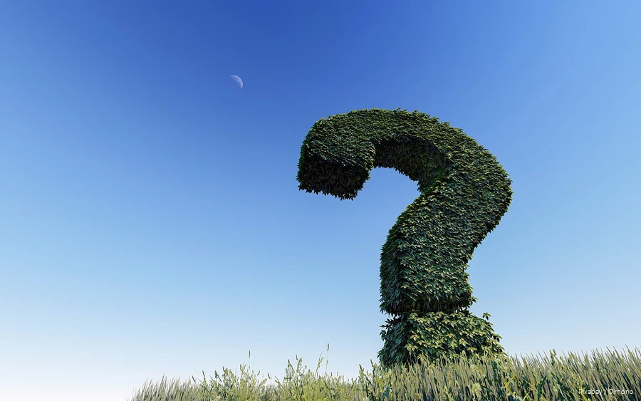 An oversized question mark made of plants above a field.