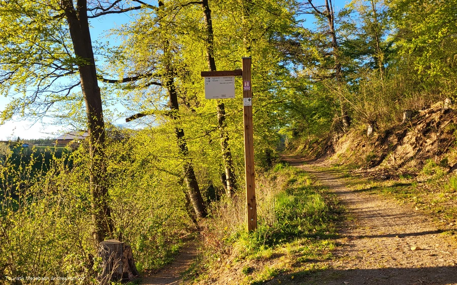 Wandern in der Urlaubsregion Medebach