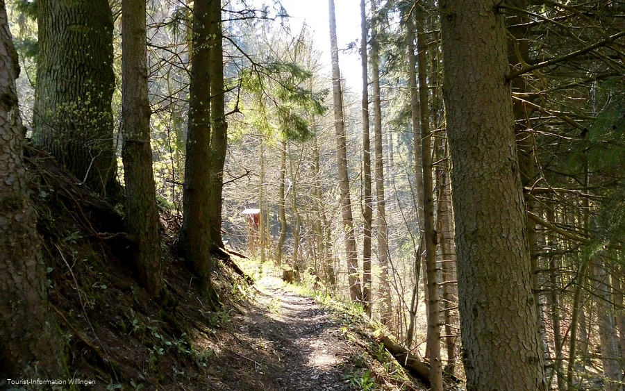 Waldweg an der Goldspur Eimelrod 