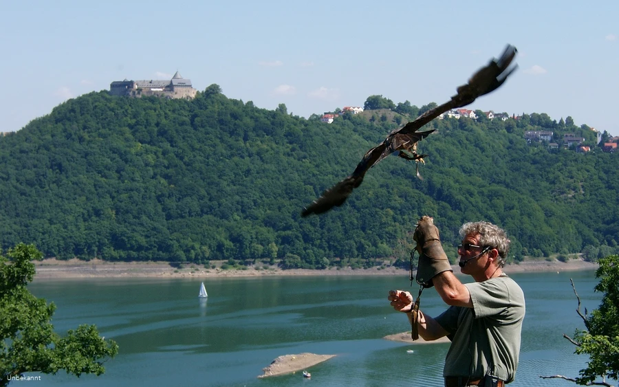 Flugschau der Greifenwarte