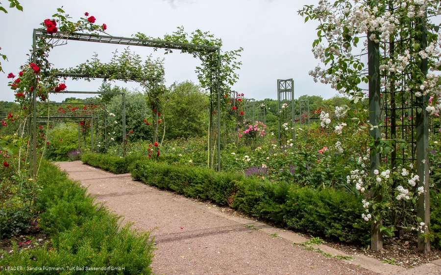 Rosengarten Bad Sassendorf