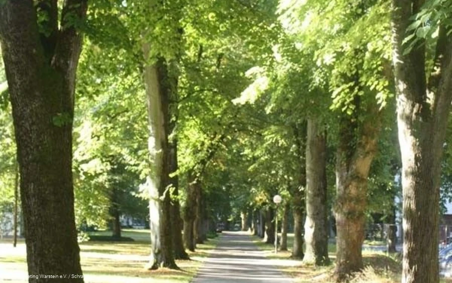 Weg im Park Weg im Park