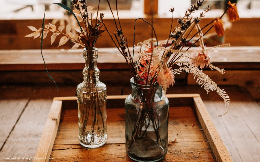 HighFive Niedersfeld