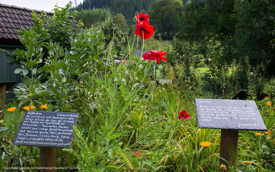 Bibelgarten in Lenne