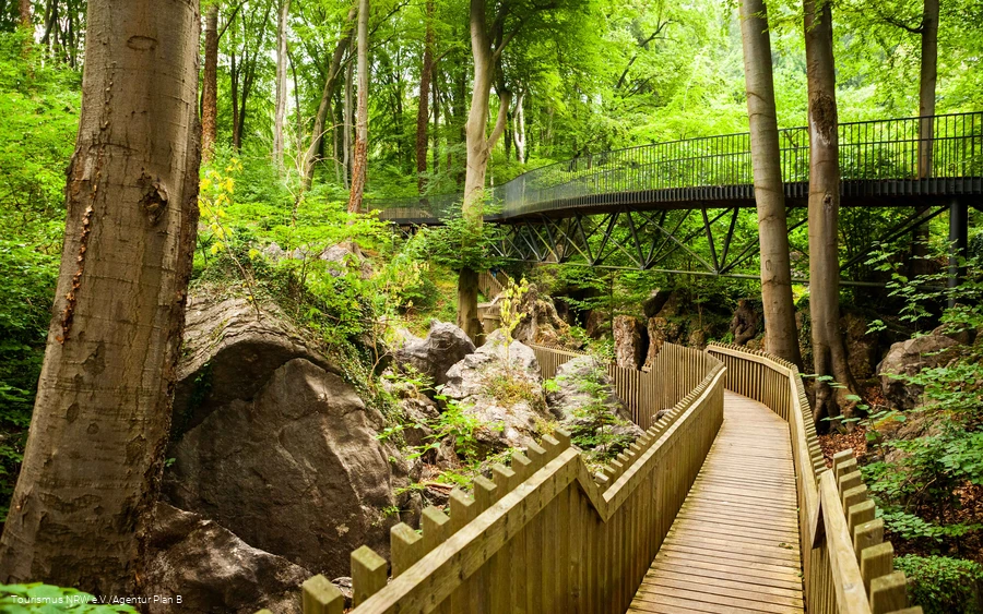 Brücken und Wege im Felsenmeer in Hemer.