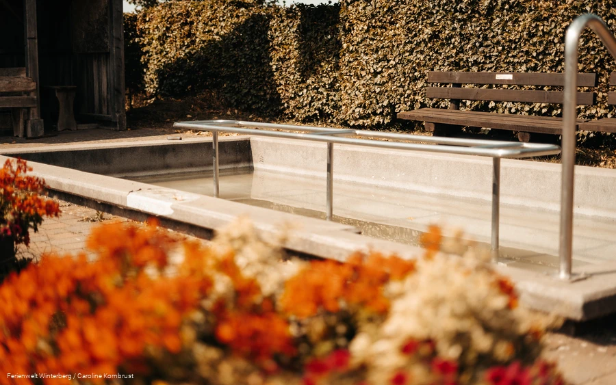 Ferienwelt Winterberg_2022_Herbst_Carography (159).jpg