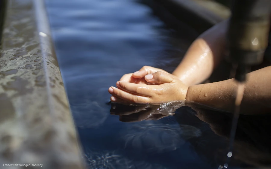 kneippanlage-boemighausen-armbecken c) freizeitwelt-willingen, sabrinity.jpg