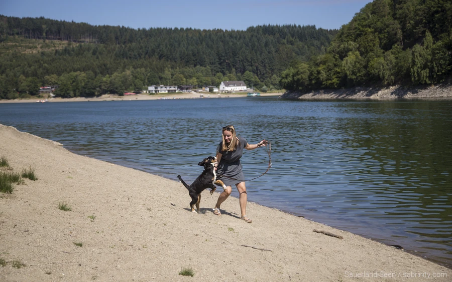 Ein Hund spielt am Diemelsee. Ein hundefreundlicher Ausflug im Sauerland.
