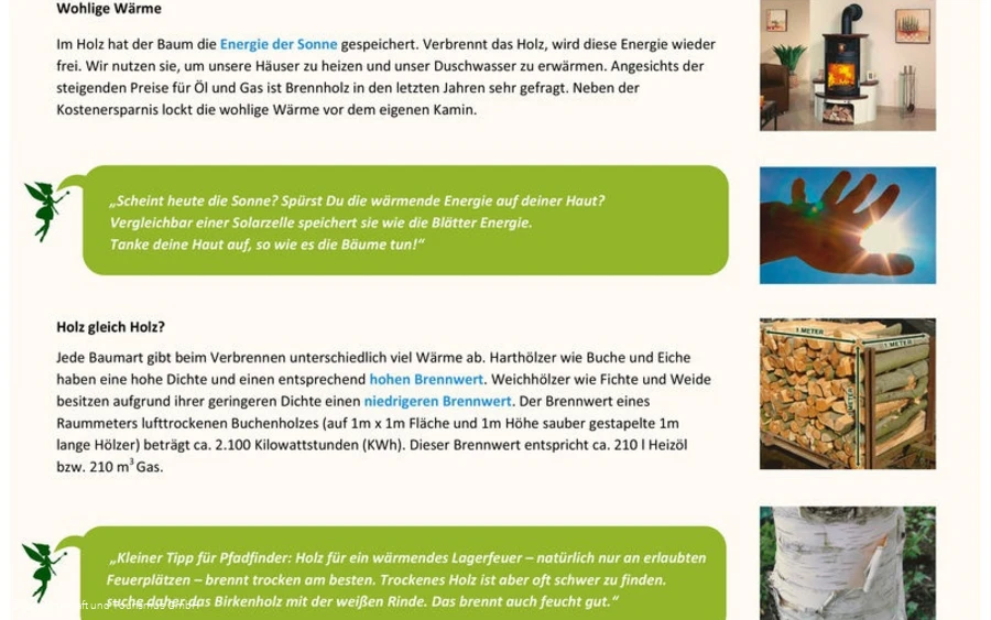 Infotafel Station 8 Waldfeenpfad